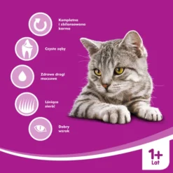 WHISKAS Adult - Croquettes Pour Chat Au Thon Et Aux Légumes 14kg+Surprise Gratuite Pour Chat -Promos Patou Noir Magasin fre pl WHISKAS Adult croquettes pour chat au thon et aux legumes 14kg Surprise gratuite pour chat 27872 5