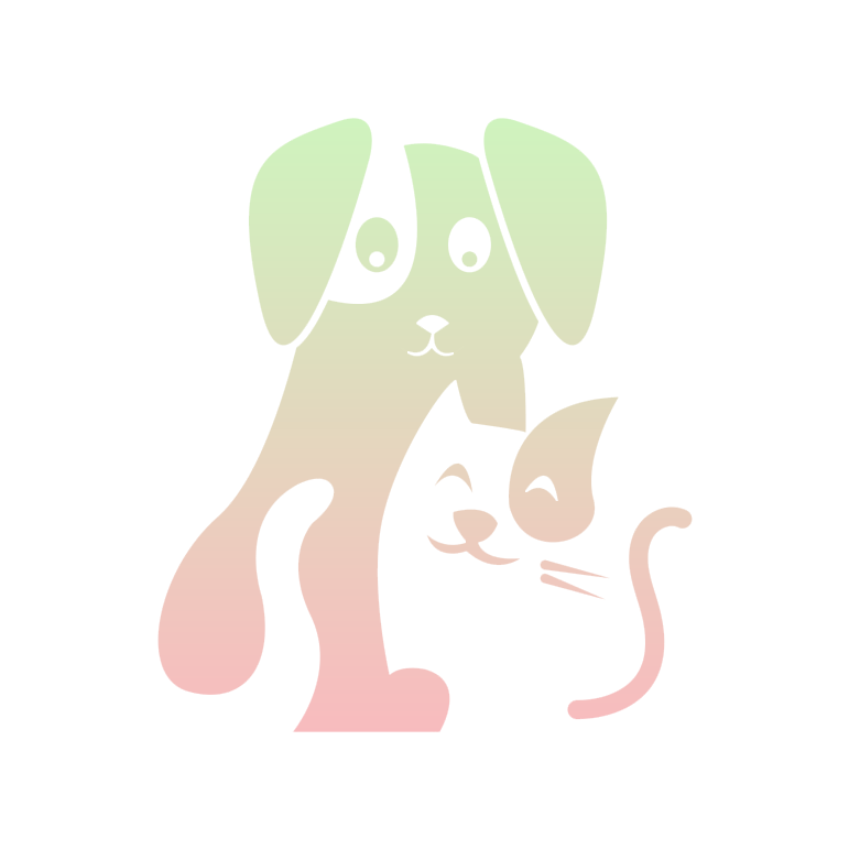 Promos Patou Noir Magasin